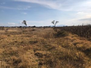 Terreno en Venta en Barrio Santa Maria San Mateo Atenco