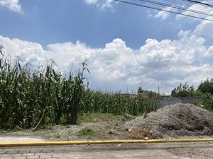 Terreno en Venta en San Miguel Totocuitlapilco Metepec