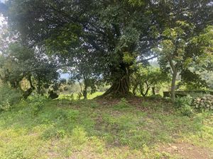 Terreno en Venta en San Sebastián Malinalco