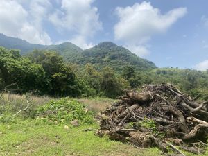 Terreno en Venta en San Sebastián Malinalco