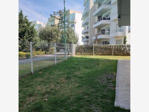 Departamento en Renta en San Miguel Totocuitlapilco Metepec