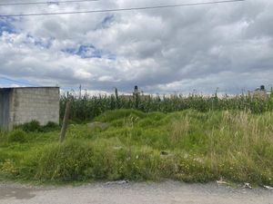 Terreno en Venta en San Jose Guadalupe Otzacatipan Toluca