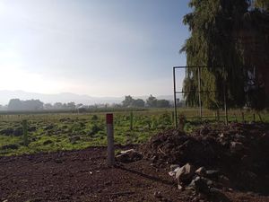 Terreno en Venta en Centro Ocoyoacac Ocoyoacac