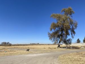 Terreno en Venta en San Miguel Totocuitlapilco Metepec