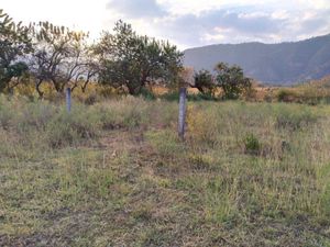 Terreno en Venta en San Sebastián Malinalco