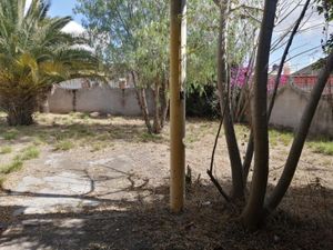 Terreno en Venta en El Copalillo Irapuato