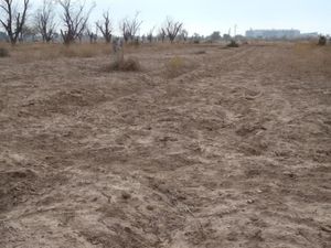 Terreno en Venta en La Concha Torreón