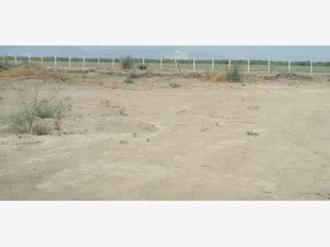 Terreno en Venta en El Olivo Matamoros