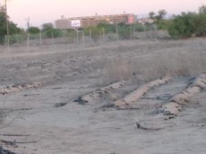 Terreno en Venta en La Concha Torreón