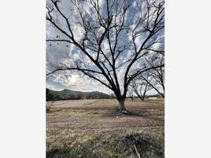 Terreno en Venta en Ciudad Juárez Lerdo