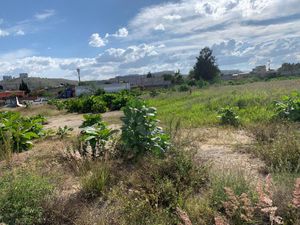 Terreno en Renta en San Martín Tepetlixpa Cuautitlán Izcalli