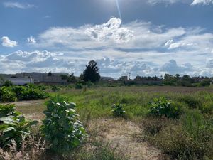 Terreno en Renta en San Martín Tepetlixpa Cuautitlán Izcalli