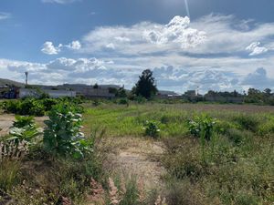 Terreno en Renta en San Martín Tepetlixpa Cuautitlán Izcalli