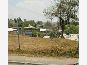 Terreno en Venta en Bosques de la Colmena Nicolás Romero