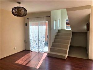 Casa en Venta en Ampliación Los Olivos Tláhuac