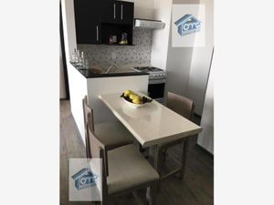 Casa en Renta en La Joya Tlalpan