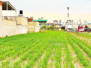 Terreno en Venta en Santa Ana Tlapaltitlan Toluca