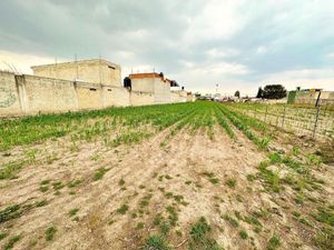 Terreno en Venta en Santa Ana Tlapaltitlan Toluca