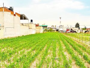 Terreno en Venta en Santa Ana Tlapaltitlan Toluca