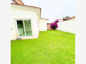 Casa en Renta en Los Almendros Metepec