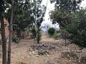 Terreno en Venta en Malinalco Malinalco