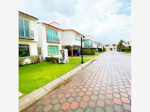 Casa en Renta en Los Almendros Metepec