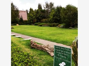 Casa en Renta en Bosques de La Asuncion  Metepec