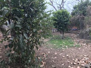 Terreno en Venta en Malinalco Malinalco