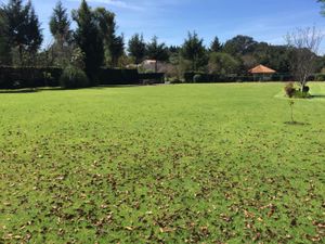 Terreno en Venta en HACIENDA SAN MARTIN Ocoyoacac