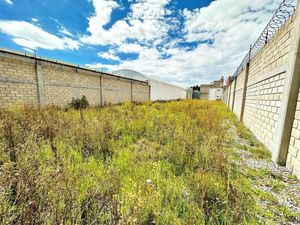 Bodega en Venta en Santa Ana Tlapaltitlan Toluca