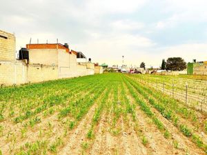 Terreno en Venta en Santa Ana Tlapaltitlan Toluca