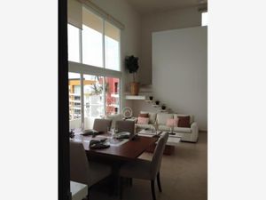 Departamento en Renta en Agrícola Álvaro Obregón Metepec