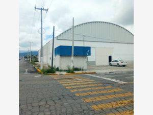 Bodega en Renta en Parque industrial Toluca Toluca