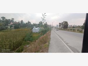 Terreno en Venta en Lomas de Angelópolis San Andrés Cholula