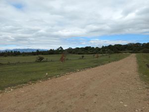 Terreno en Venta en San Miguel Regla Huasca de Ocampo