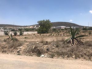 Terreno en Venta en Pachuquilla Mineral de la Reforma