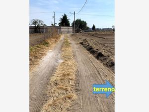 Terreno en Venta en Santa María Tonantzintla San Andrés Cholula