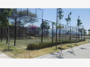 Terreno en Venta en Tolometla de Benito Juárez Atlixco