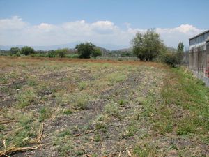 Terreno en Venta en Xochitepec Centro Xochitepec