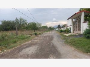 Terreno en Renta en Colonia Agropecuaria el Tule Salinas Victoria