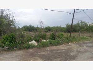 Terreno en Renta en Colonia Agropecuaria el Tule Salinas Victoria