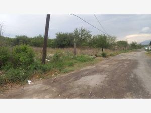 Terreno en Renta en Colonia Agropecuaria el Tule Salinas Victoria