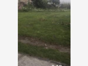 Terreno en Renta en Llano Grande (El Salitre) Metepec