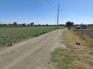 Terreno en Renta en Zerezotla San Pedro Cholula