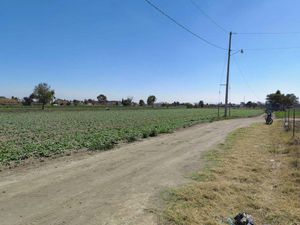 Terreno en Renta en Zerezotla San Pedro Cholula