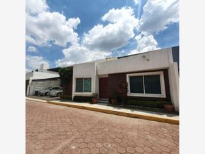 Casa en Renta en Cholula San Pedro Cholula