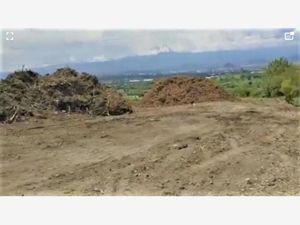 Terreno en Venta en Ricardo Flores Magon Atlixco