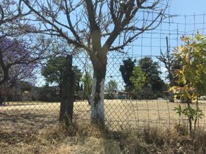 Terreno en Venta en San Pedro Zacachimalpa Puebla