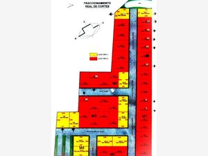 Terreno en Venta en Llanos Santa Maria San Pedro Cholula