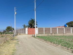 Terreno en Renta en Zerezotla San Pedro Cholula